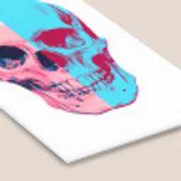 Schedel - Grafisch - Roze - Verdeeld fotolijst zwart zonder passe partout klein -zsfeer6