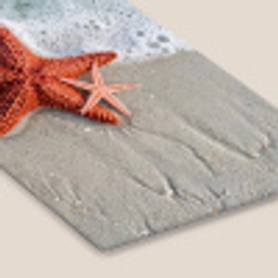 Zeester - Strand - Zee fotolijst zwart zonder passe partout klein -zsfeer6