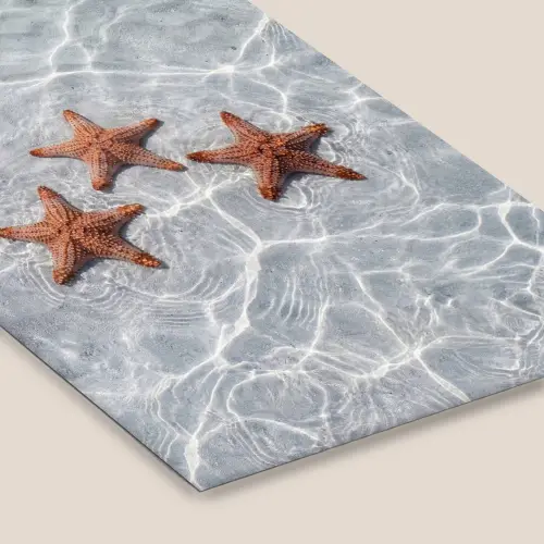 Zeesterren - Water - Helder fotolijst zwart zonder passe partout klein -zsfeer6