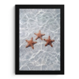 Zeesterren - Water - Helder fotolijst zwart zonder passe partout klein -3d