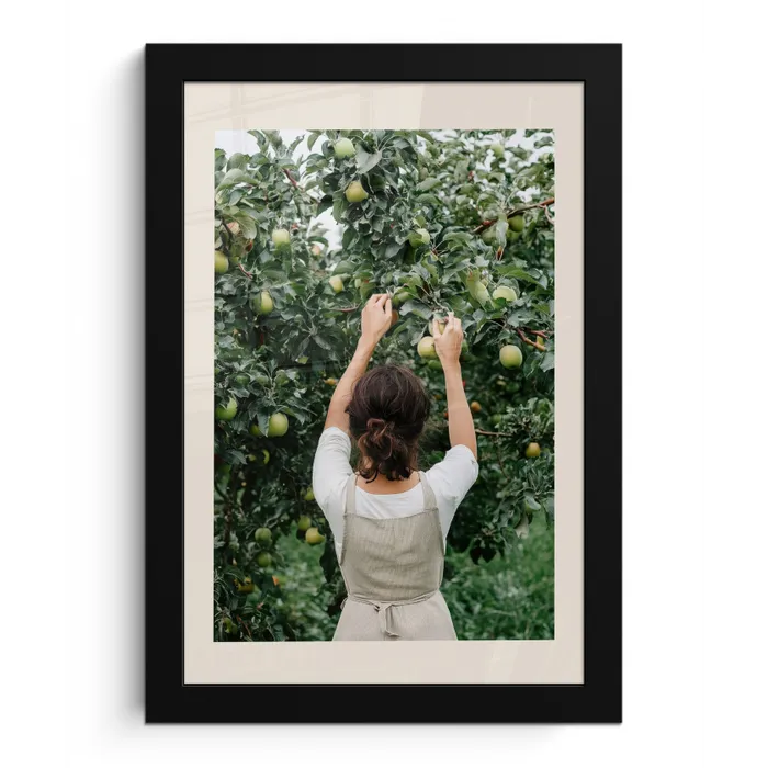Boom - Appels - Plukken - Natuur fotolijst zwart zonder passe partout klein -3d