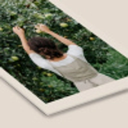 Boom - Appels - Plukken - Natuur fotolijst zwart zonder passe partout klein -zsfeer6