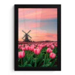 Tulpen - Molen - Nederland fotolijst zwart zonder passe partout klein -3d