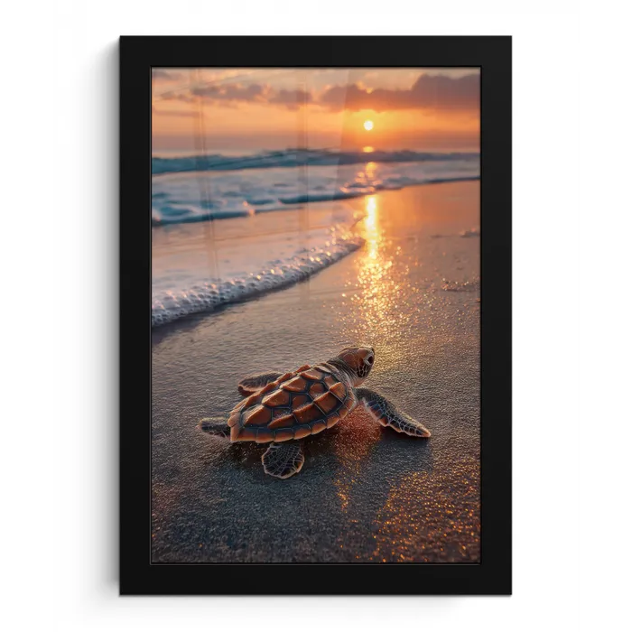 Schildpad - strand - Zonsondergang fotolijst zwart zonder passe partout klein -3d