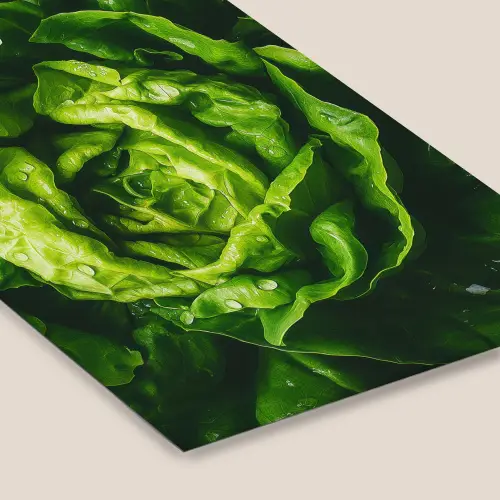 Groente - Sla - Groen fotolijst zwart zonder passe partout klein -zsfeer6