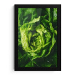 Groente - Sla - Groen fotolijst zwart zonder passe partout klein -3d