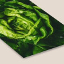 Groente - Sla - Groen fotolijst zwart zonder passe partout klein -zsfeer6
