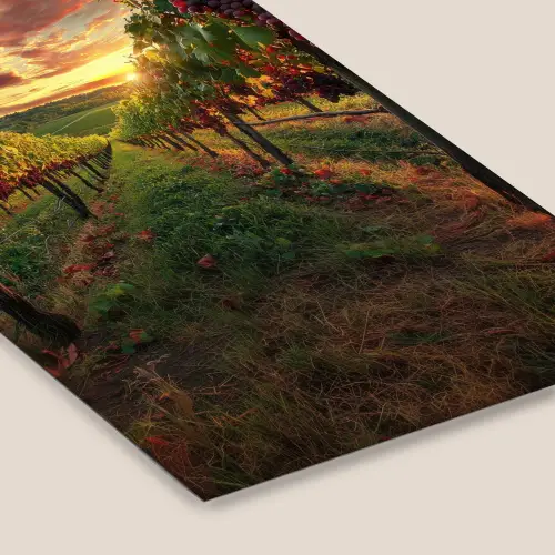 Wijngaard - Druiven - Zonsondergang fotolijst zwart zonder passe partout klein -zsfeer6