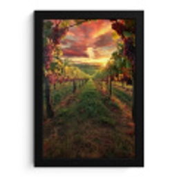 Wijngaard - Druiven - Zonsondergang fotolijst zwart zonder passe partout klein -3d