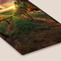Wijngaard - Druiven - Zonsondergang fotolijst zwart zonder passe partout klein -zsfeer6