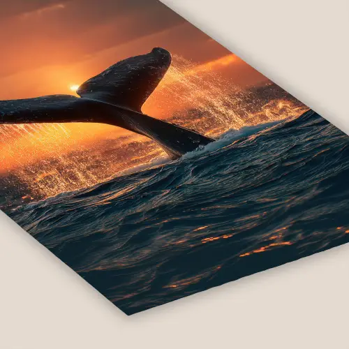 Walvis staart - Water - Zonsondergang fotolijst zwart zonder passe partout klein -zsfeer6