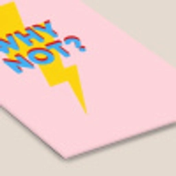 Why not - Bliksem - Roze fotolijst zwart zonder passe partout klein -zsfeer6