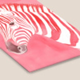 Zebra - Pink - Verf fotolijst zwart zonder passe partout klein -zsfeer6