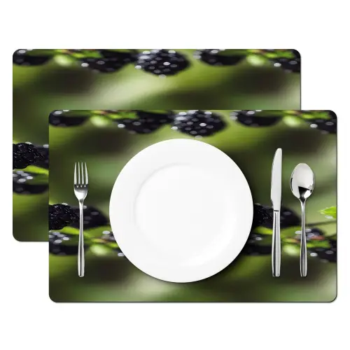 Bramen - Bladeren - Tros Placemat vinyl groot 368 -zzsfeer2_Kitchenyeah-website