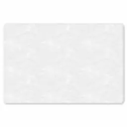 Bloesem - Wit - Patroon Placemat vinyl groot 368 -zzsfeer1_Kitchenyeah-website