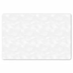 Licht - Kraanvogels - Wit Placemat vinyl groot 368 -zzsfeer1_Kitchenyeah-website