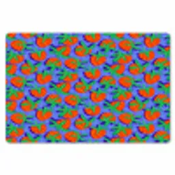 Aardbei - Rood - Zaadjes Placemat vinyl groot 368 -zzsfeer1_Kitchenyeah-website