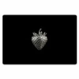 Aardbei - Zaadstructuur - Realistisch Placemat vinyl groot -zzsfeer1_Kitchenyeah-website
