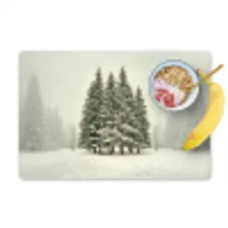Bomen - Sneeuw - Wit Placemat vinyl groot -zzzproduct_Kitchenyeah-website