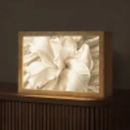 Abstract - Beige - Bloemen - Natuur Light Box met kabel (Tafellamp) klein -z3d_website