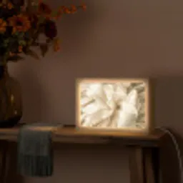 Abstract - Beige - Bloemen - Natuur Light Box met kabel (Tafellamp) klein -sfeer4