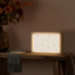 Abstract - Zebra - Beige Light Box met kabel (Tafellamp) klein 924 -sfeer4
