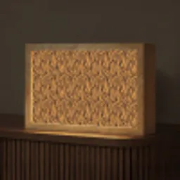 Dier - Oranje - Tijger Light Box met kabel (Tafellamp) klein 924 -z3d_website