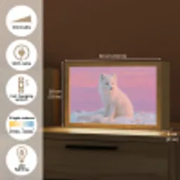 Poolvos - Sneeuw - Roze Light Box met kabel (Tafellamp) klein -USP_EN