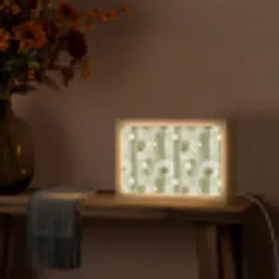 Artistiek - Modern - Groen Light Box met kabel (Tafellamp) klein 924 -sfeer4