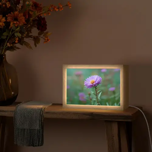 Aster - Paars - Bloem - Blaadjes Light Box met kabel (Tafellamp) klein -sfeer4