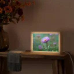 Aster - Paars - Bloem - Blaadjes Light Box met kabel (Tafellamp) klein -sfeer4