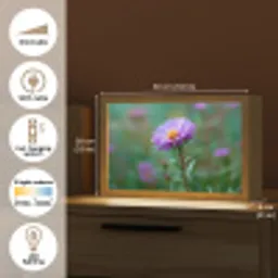 Aster - Paars - Bloem - Blaadjes Light Box met kabel (Tafellamp) klein -USP_EN
