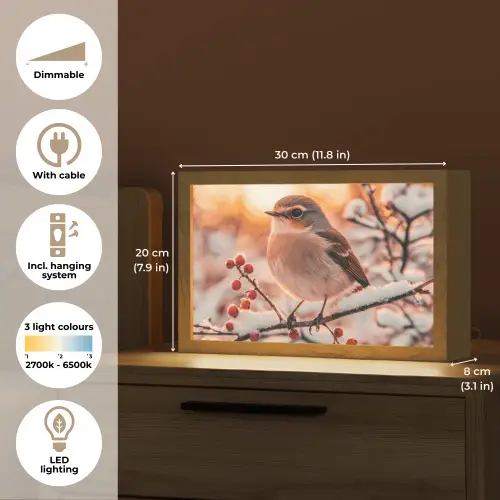 Vogel - Tak - Winter - Dieren - Sneeuw Light Box met kabel (Tafellamp) klein -USP_EN