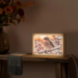 Vogel - Tak - Winter - Dieren - Sneeuw Light Box met kabel (Tafellamp) klein -sfeer4