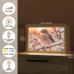 Vogel - Tak - Winter - Dieren - Sneeuw Light Box met kabel (Tafellamp) klein -USP_EN
