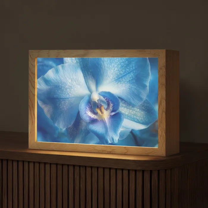 Blauw - Orchidee - Elegeant Light Box met kabel (Tafellamp) klein -z3d_website
