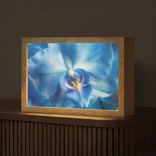 Blauw - Orchidee - Elegeant Light Box met kabel (Tafellamp) klein -z3d_website