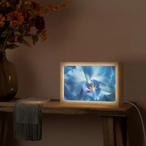 Blauw - Orchidee - Elegeant Light Box met kabel (Tafellamp) klein -sfeer4
