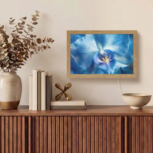 Blauw - Orchidee - Elegeant Light Box met kabel (Tafellamp) klein -sfeer2