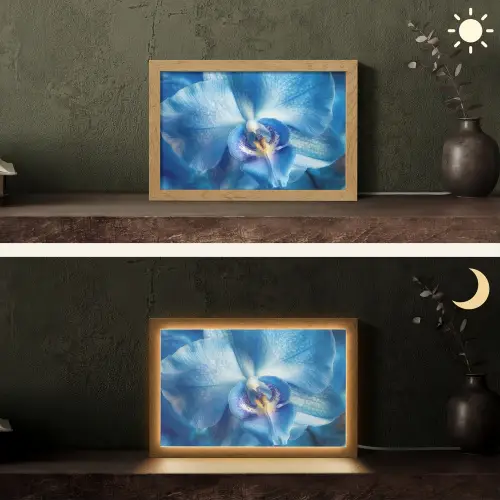 Blauw - Orchidee - Elegeant Light Box met kabel (Tafellamp) klein -sfeer3