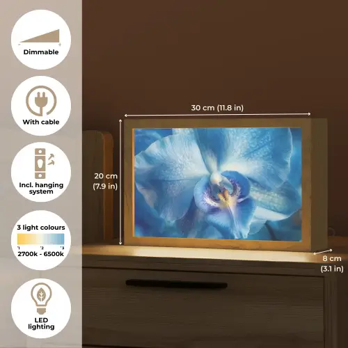 Blauw - Orchidee - Elegeant Light Box met kabel (Tafellamp) klein -USP_EN