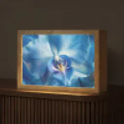 Blauw - Orchidee - Elegeant Light Box met kabel (Tafellamp) klein -z3d_website