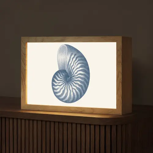 Blauw - Schelp - Spiraal Light Box met kabel (Tafellamp) klein -z3d_website
