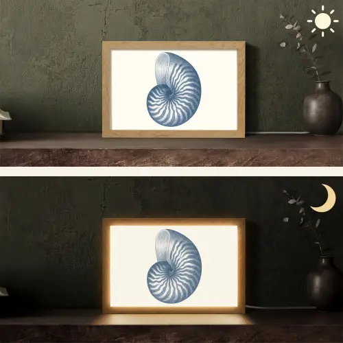 Blauw - Schelp - Spiraal Light Box met kabel (Tafellamp) klein -sfeer3