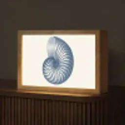 Blauw - Schelp - Spiraal Light Box met kabel (Tafellamp) klein -z3d_website