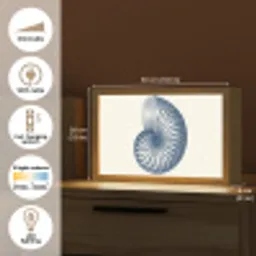 Blauw - Schelp - Spiraal Light Box met kabel (Tafellamp) klein -USP_EN