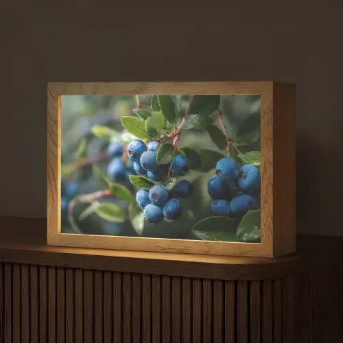 Blauwe bessen - Dauwdruppels - Natuurlijk licht Light Box met kabel (Tafellamp) klein -z3d_website
