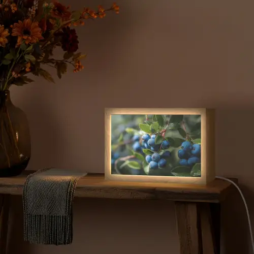 Blauwe bessen - Dauwdruppels - Natuurlijk licht Light Box met kabel (Tafellamp) klein -sfeer4