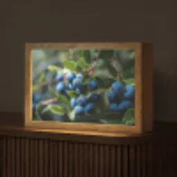 Blauwe bessen - Dauwdruppels - Natuurlijk licht Light Box met kabel (Tafellamp) klein -z3d_website