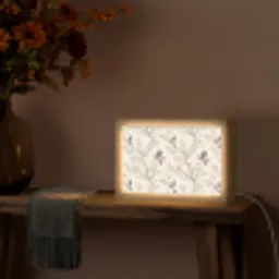 Takken - Vogels - Beige Light Box met kabel (Tafellamp) klein 924 -sfeer4